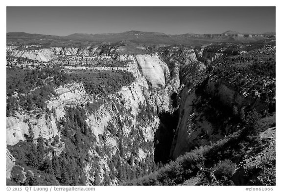 Mystery Canyon from the rim. Zion National Park (black and white)