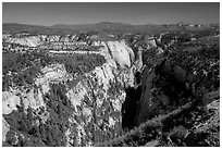 Mystery Canyon from the rim. Zion National Park ( black and white)