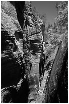 Narrows, Mystery Canyon. Zion National Park ( black and white)