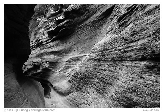 Slot canyon inside Mystery Canyon. Zion National Park (black and white)