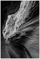 Pool and sculpted canyon walls, Mystery Canyon. Zion National Park ( black and white)
