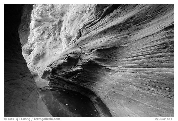 Water-sculpted canyon and pool, Mystery Canyon. Zion National Park (black and white)