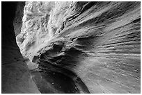 Water-sculpted canyon and pool, Mystery Canyon. Zion National Park ( black and white)