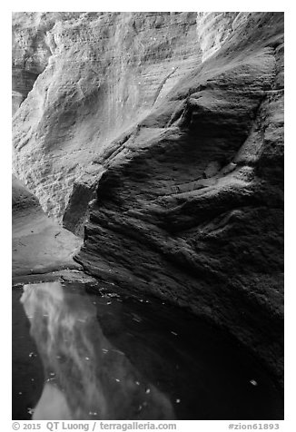 Glowing canyon wall reflected in pool, Mystery Canyon. Zion National Park (black and white)