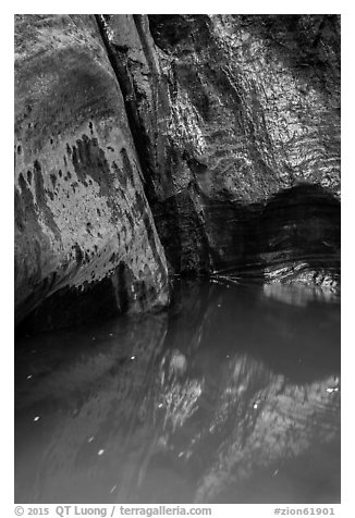 Mystery Springs pool, Mystery Canyon. Zion National Park (black and white)