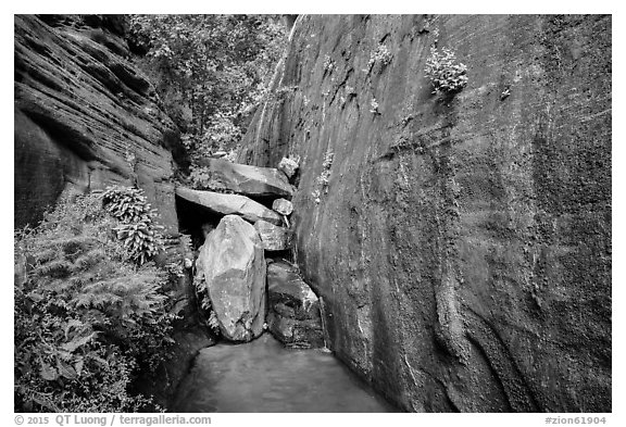 Canyon walls and stream, Mystery Canyon. Zion National Park (black and white)