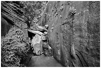 Canyon walls and stream, Mystery Canyon. Zion National Park ( black and white)