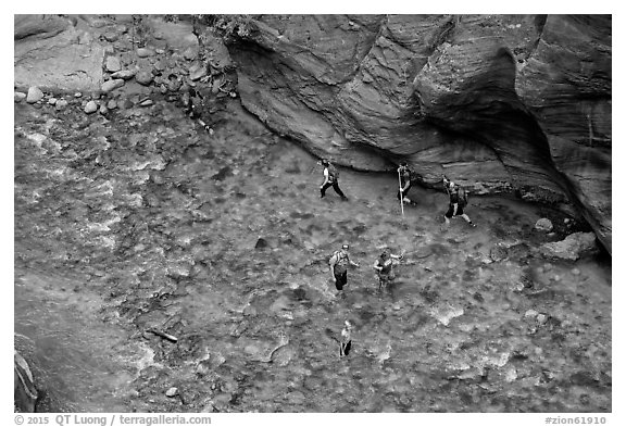 Virgin River Narrows hikers from above. Zion National Park (black and white)