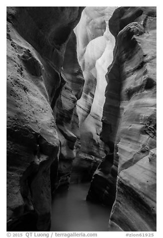 Dark flooded slot canyon, Pine Creek Canyon. Zion National Park (black and white)