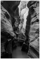 Dark flooded slot canyon, Pine Creek Canyon. Zion National Park ( black and white)