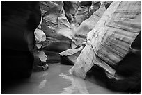 Slot canyon narrows and reflections, Pine Creek Canyon. Zion National Park ( black and white)