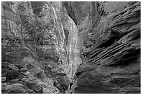 Tall canyon walls, Pine Creek Canyon. Zion National Park ( black and white)