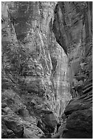 Pine Creek Canyon walls. Zion National Park ( black and white)