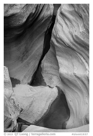 Sandstone bowl, Pine Creek Canyon. Zion National Park (black and white)