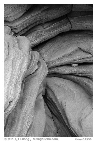 Sandstone ledges and chockstone, Pine Creek Canyon. Zion National Park (black and white)