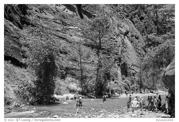 Crowds at the start of the Narrows hike. Zion National Park (black and white)