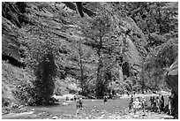 Crowds at the start of the Narrows hike. Zion National Park ( black and white)
