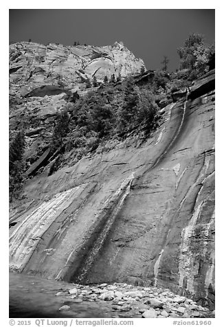 Mystery Falls. Zion National Park (black and white)