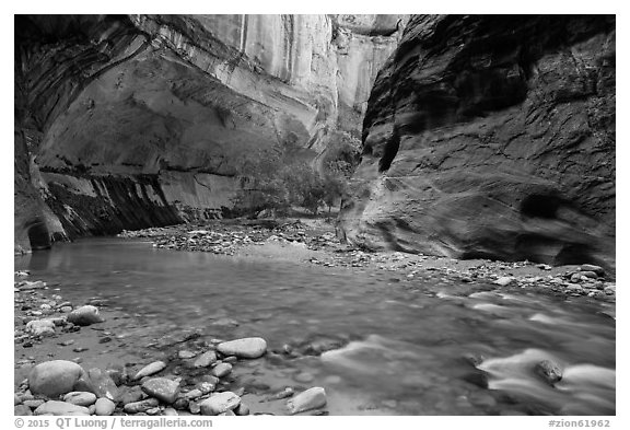 Virgin River and glowing alcove. Zion National Park (black and white)