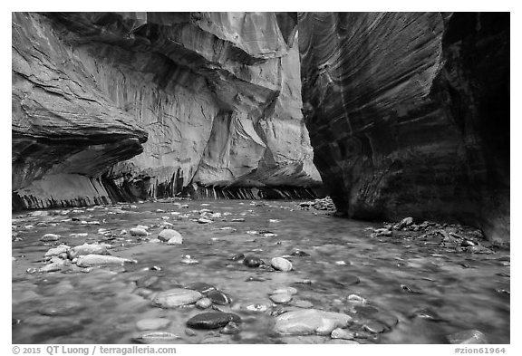 Bend of the Virgin River in the Narrows. Zion National Park (black and white)