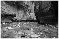 Bend of the Virgin River in the Narrows. Zion National Park ( black and white)