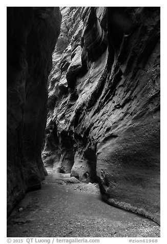 Dark passage in Orderville Narrows. Zion National Park (black and white)