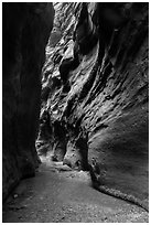 Dark passage in Orderville Narrows. Zion National Park ( black and white)