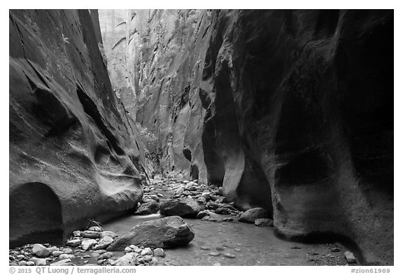 Orderville Narrows. Zion National Park (black and white)