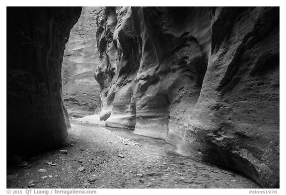 Sculpted walls, Orderville Narrows. Zion National Park (black and white)