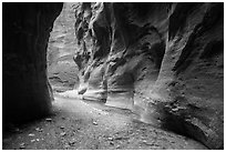 Sculpted walls, Orderville Narrows. Zion National Park ( black and white)