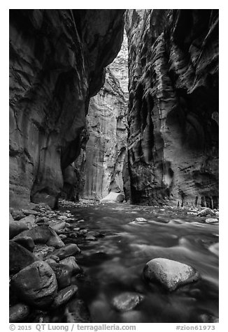 Virgin River flowing between soaring walls, the Narrows. Zion National Park (black and white)