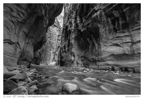 Virgin River flowing beneath tall walls, the Narrows. Zion National Park (black and white)