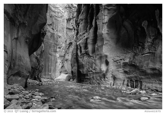 Visitor looking, the Narrows. Zion National Park (black and white)