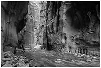 Visitor looking, the Narrows. Zion National Park ( black and white)