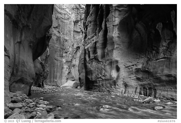 Virgin River between steep and tall walls of the Narrows. Zion National Park (black and white)