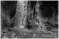 Virgin River between steep and tall walls of the Narrows. Zion National Park ( black and white)