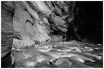 Virgin River flows over boulders under soaring walls of the Narrows. Zion National Park ( black and white)