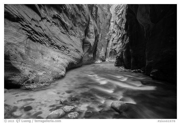 Narrows of the North Fork of the Virgin River. Zion National Park (black and white)