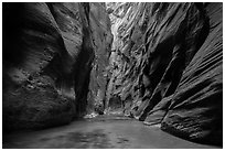 Soaring dark walls, the Narrows. Zion National Park ( black and white)