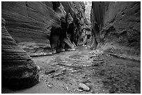 The Narrows at the Orderville confluence. Zion National Park ( black and white)