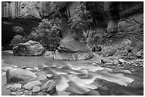 Trees in early summer and alcove, the Narrows. Zion National Park ( black and white)