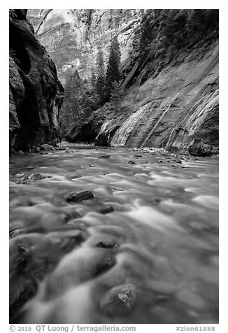 The Virgin River below Mystery Falls, the Narrows. Zion National Park (black and white)