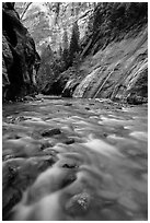 The Virgin River below Mystery Falls, the Narrows. Zion National Park ( black and white)