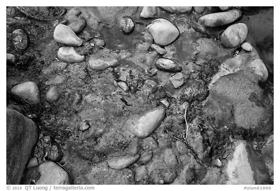 Rocks and oils. Zion National Park (black and white)