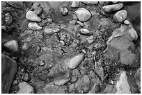Rocks and oils. Zion National Park ( black and white)