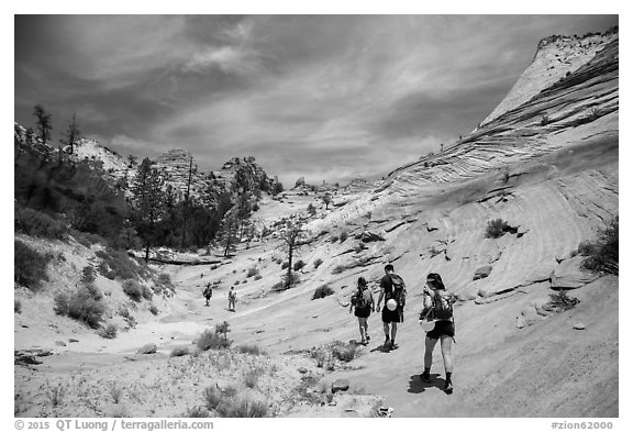 Hikers on slickrock. Zion National Park (black and white)