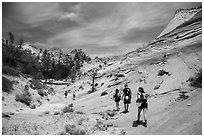 Hikers on slickrock. Zion National Park ( black and white)