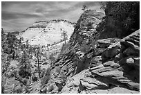 Slickrock landscape, East Zion. Zion National Park ( black and white)