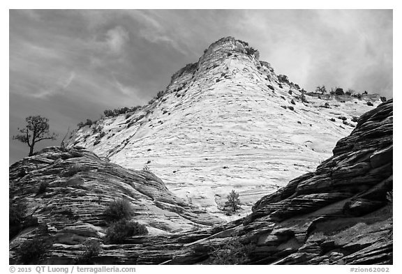 White cliffs towering over red cliffs, East Zion. Zion National Park (black and white)