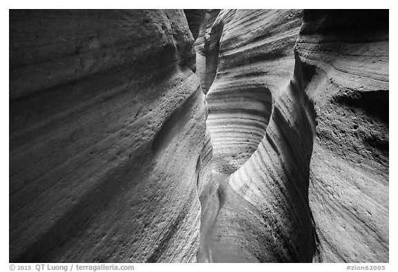 Slot Canyon, Keyhole Canyon. Zion National Park (black and white)